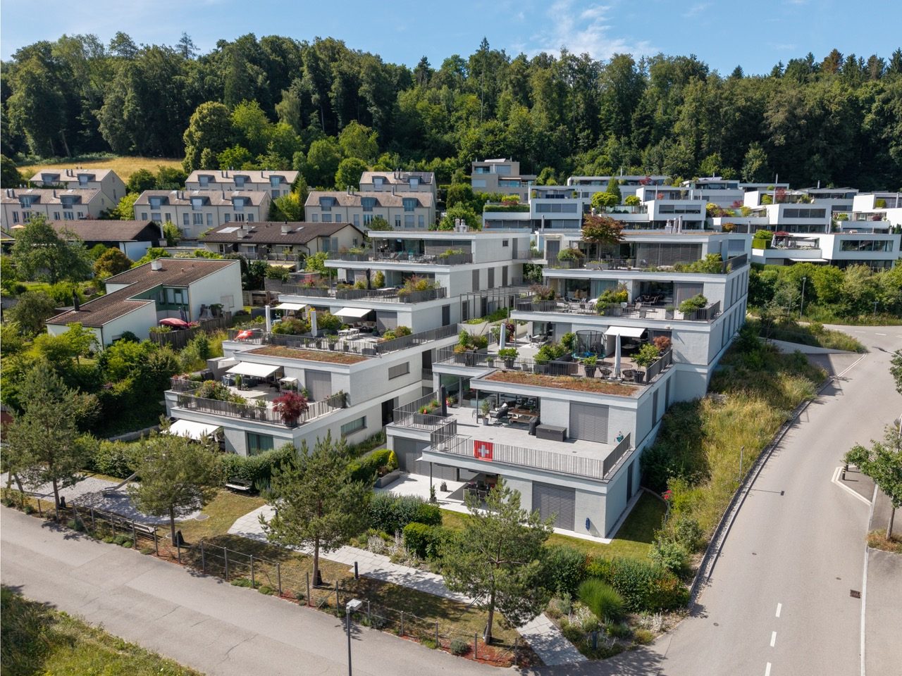 Aerial view of the terraced development and hillside